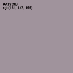 #A1939B - Dusty Gray Color Image