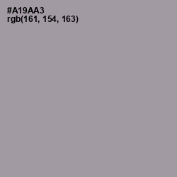 #A19AA3 - Amethyst Smoke Color Image