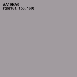 #A19BA0 - Amethyst Smoke Color Image