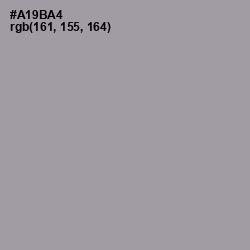 #A19BA4 - Amethyst Smoke Color Image