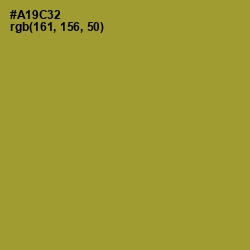 #A19C32 - Lemon Ginger Color Image
