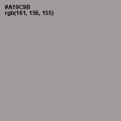 #A19C9B - Dusty Gray Color Image