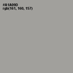 #A1A09D - Delta Color Image