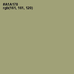 #A1A178 - Green Smoke Color Image