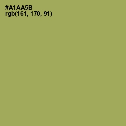 #A1AA5B - Olive Green Color Image