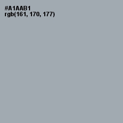 #A1AAB1 - Gray Chateau Color Image