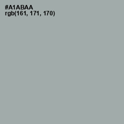 #A1ABAA - Edward Color Image