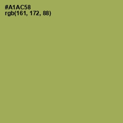 #A1AC58 - Olive Green Color Image