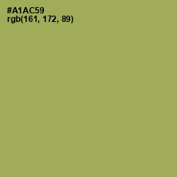#A1AC59 - Olive Green Color Image