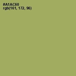 #A1AC60 - Green Smoke Color Image