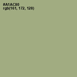 #A1AC80 - Tallow Color Image