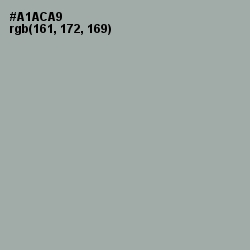 #A1ACA9 - Edward Color Image