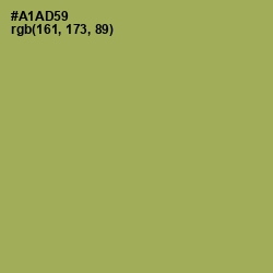 #A1AD59 - Olive Green Color Image