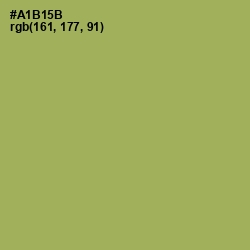 #A1B15B - Olive Green Color Image