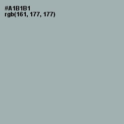 #A1B1B1 - Bombay Color Image