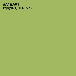 #A1BA61 - Green Smoke Color Image