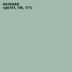 #A1BAAB - Edward Color Image