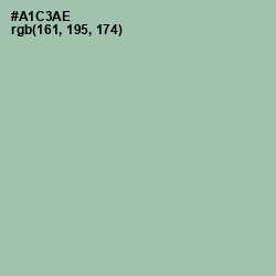 #A1C3AE - Spring Rain Color Image