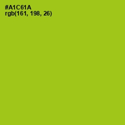 #A1C61A - Bahia Color Image