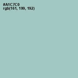 #A1C7C0 - Opal Color Image