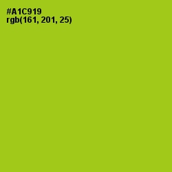 #A1C919 - Bahia Color Image