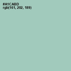 #A1CABD - Spring Rain Color Image