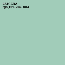 #A1CCBA - Spring Rain Color Image