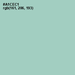 #A1CEC1 - Opal Color Image
