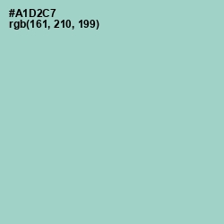 #A1D2C7 - Opal Color Image