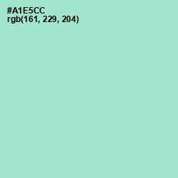 #A1E5CC - Padua Color Image