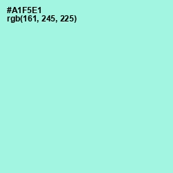 #A1F5E1 - Ice Cold Color Image