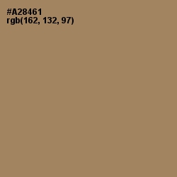 #A28461 - Sandal Color Image
