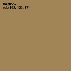 #A28557 - Barley Corn Color Image