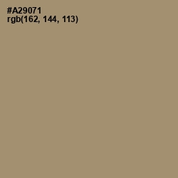 #A29071 - Donkey Brown Color Image