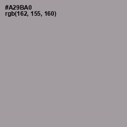 #A29BA0 - Amethyst Smoke Color Image