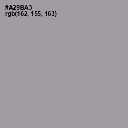 #A29BA3 - Amethyst Smoke Color Image