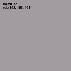 #A29CA1 - Amethyst Smoke Color Image