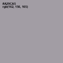 #A29CA5 - Amethyst Smoke Color Image