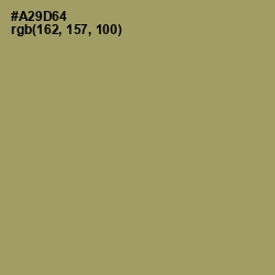 #A29D64 - Teak Color Image