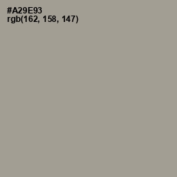 #A29E93 - Zorba Color Image