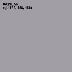 #A29EA6 - Amethyst Smoke Color Image