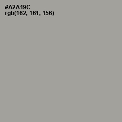 #A2A19C - Delta Color Image