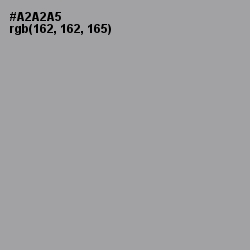 #A2A2A5 - Shady Lady Color Image