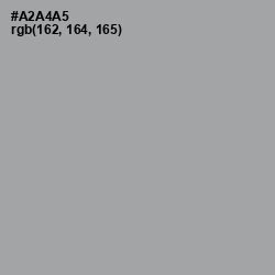 #A2A4A5 - Shady Lady Color Image