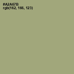 #A2A67B - Green Smoke Color Image