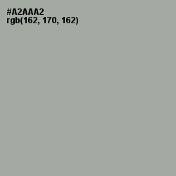 #A2AAA2 - Edward Color Image