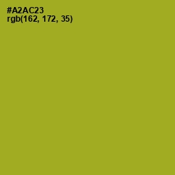 #A2AC23 - Citron Color Image