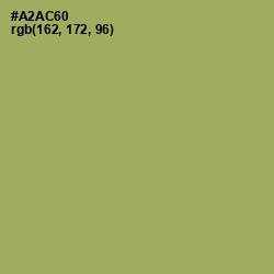 #A2AC60 - Green Smoke Color Image