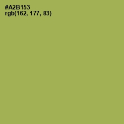 #A2B153 - Olive Green Color Image