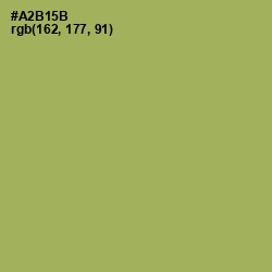 #A2B15B - Olive Green Color Image